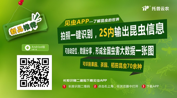 rIgҊxAPP