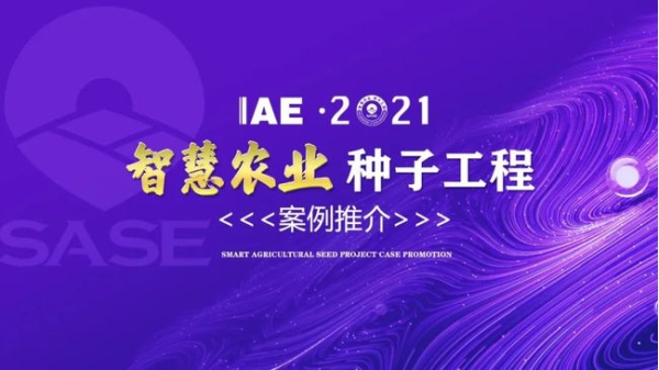 2020ǻrINӹ̡ƽ